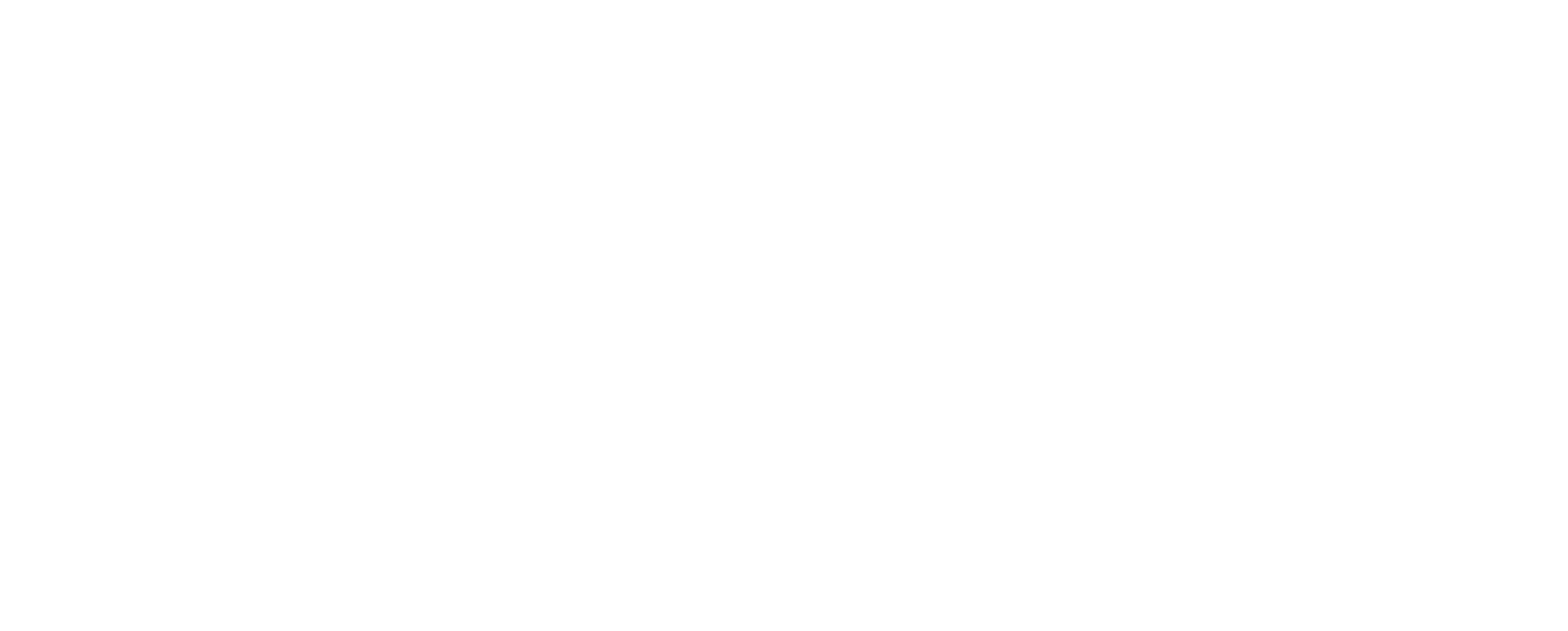HyDelta Logo – Complete White